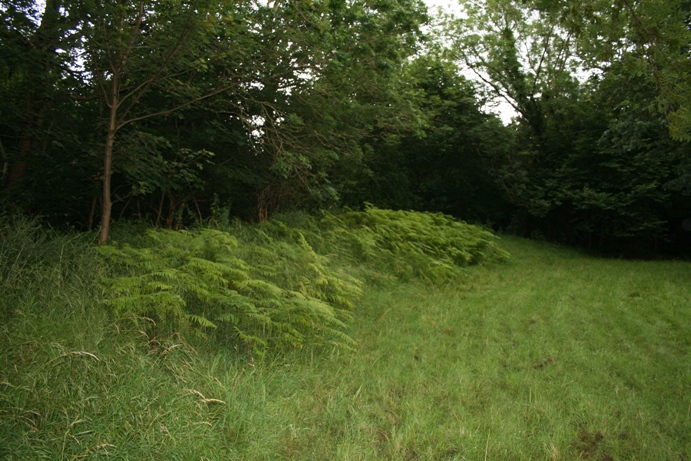 Tap's Combe Camp