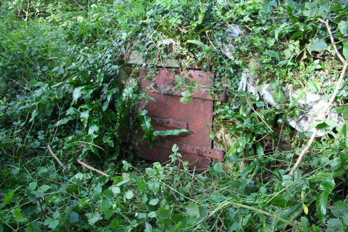 St Alphages Well
