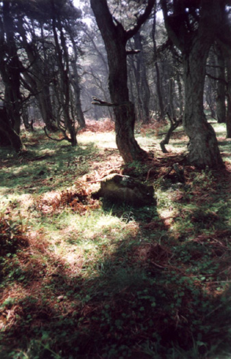 Culbone Hill