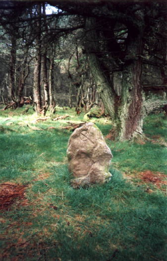 Culbone Stone