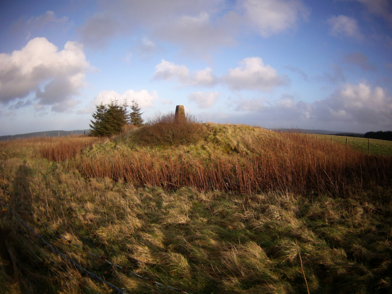 You can see the ditch surrounding this Barrow quite nicely in this photo.