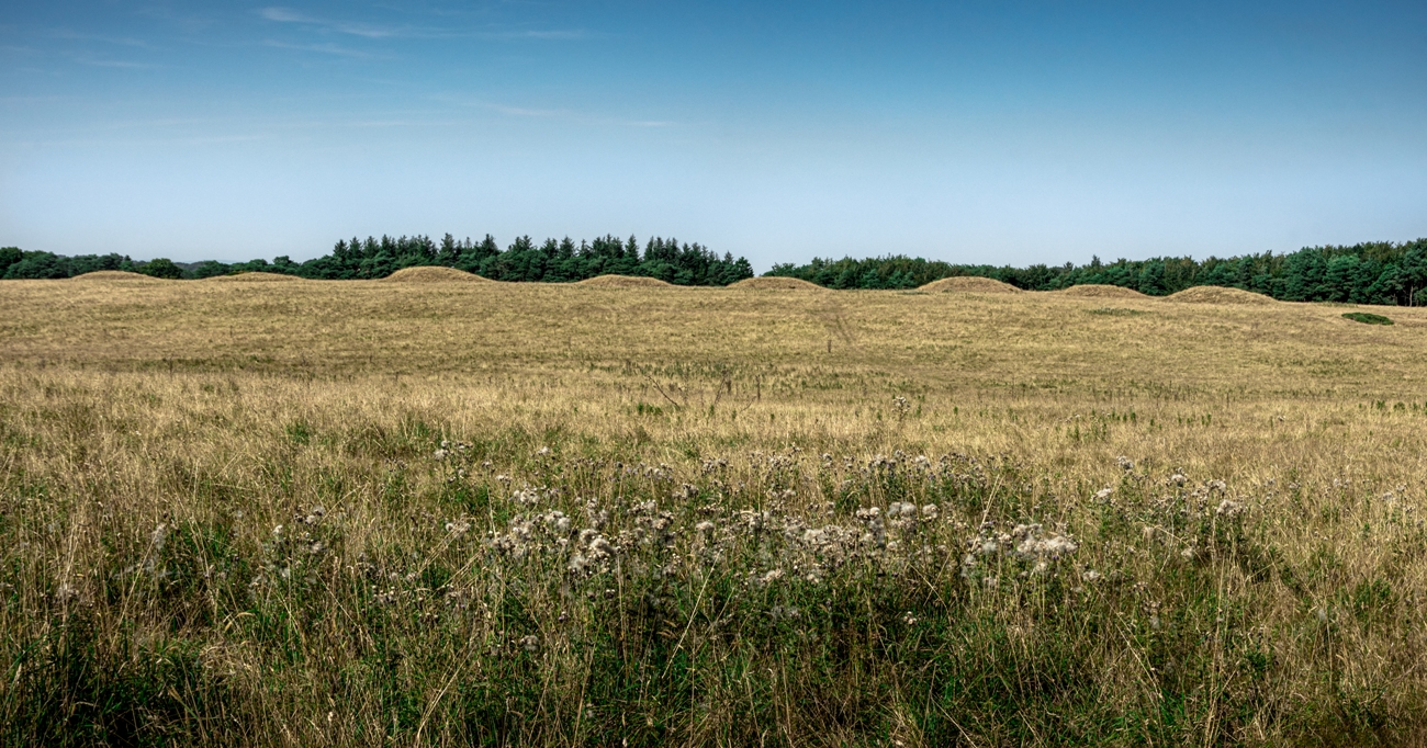 Click for full size image of Ashen Hill Barrows (PID:247619) Ashen Hill Barrows