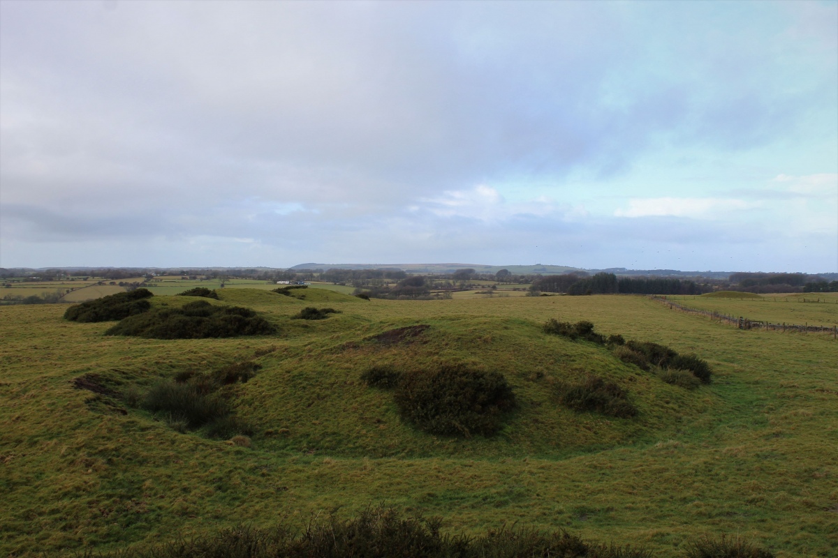 Priddy Nine Barrows