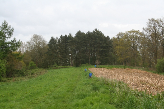 Stantonbury Camp