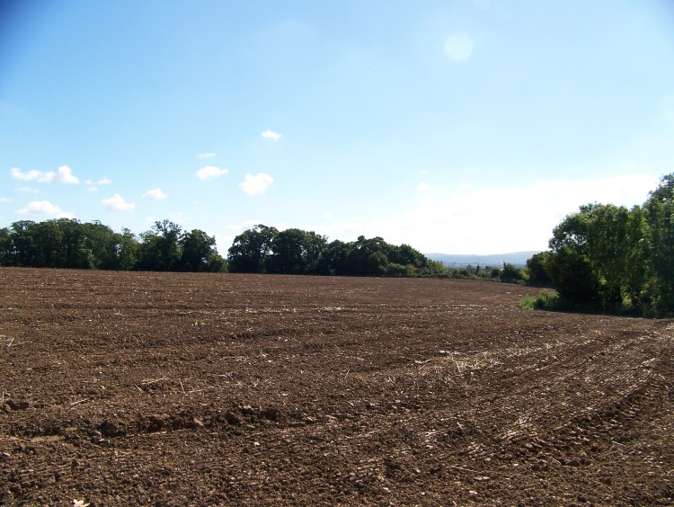 Click for full size image of Norton Fitzwarren (PID:33176) Norton Fitzwarren
