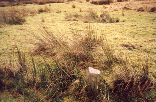 Lanacombe 3