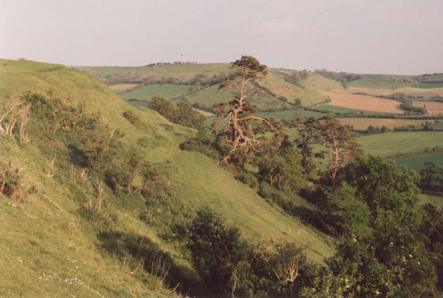 South Cadbury Castle