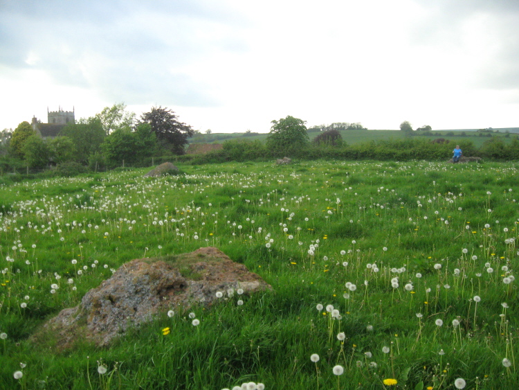 Click for the gallery page to add comments and vote (PID:113894) Stanton Drew SSW