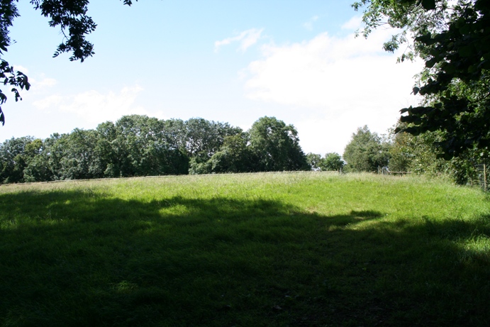 Tickenham Court Barrow