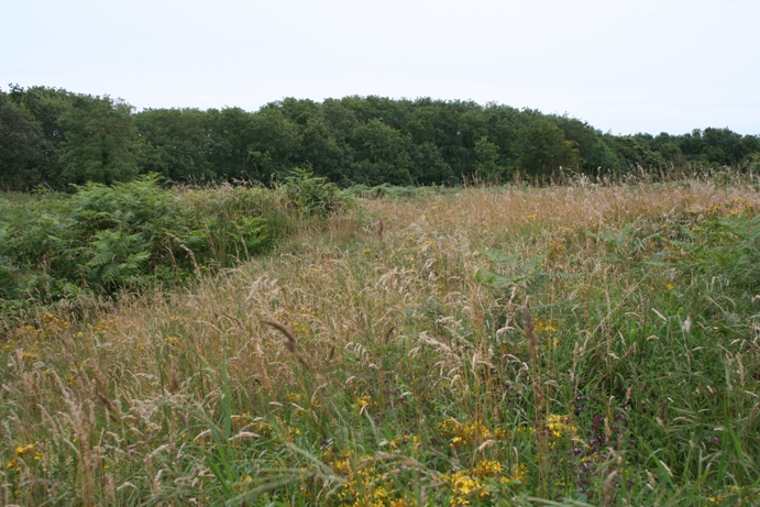 Walton-in-Gordano Banjo Enclosure