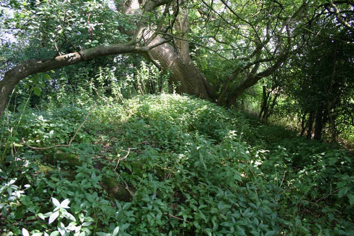 Wraxall Camp