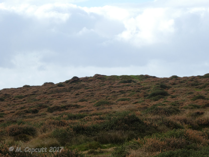 Thorncombe Barrow