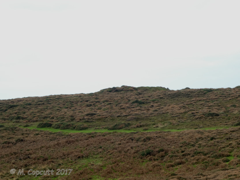 Thorncombe Barrow