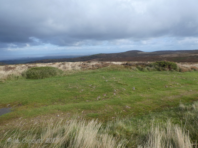 Thorncombe Hill Cairns