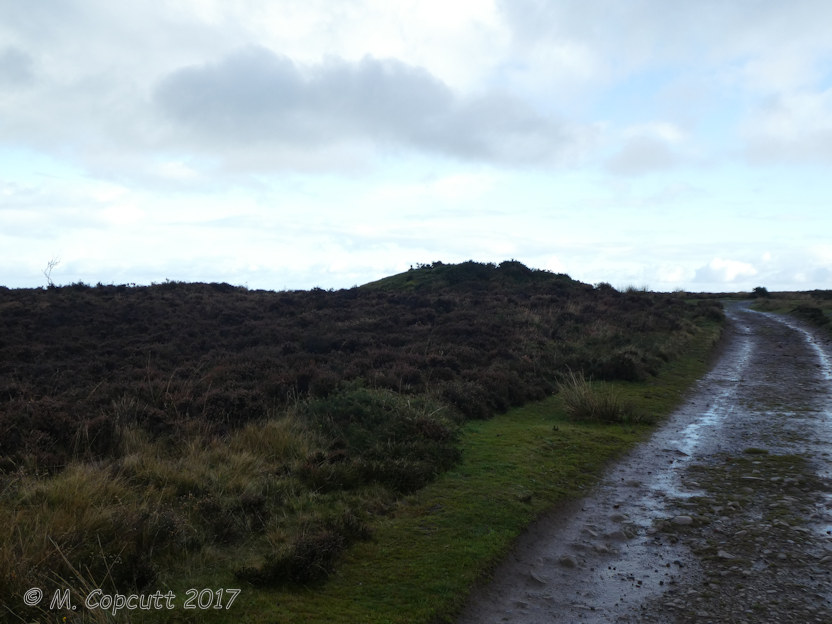 Black Hill Tumuli