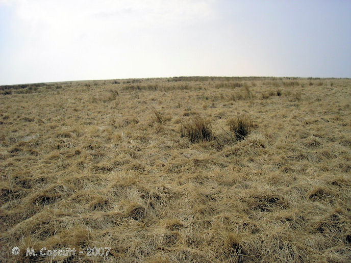 Lanacombe 4