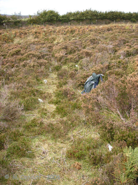 Porlock Common SW