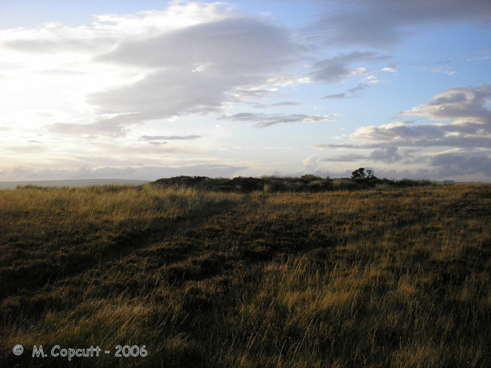 Withypool Hill Barrow