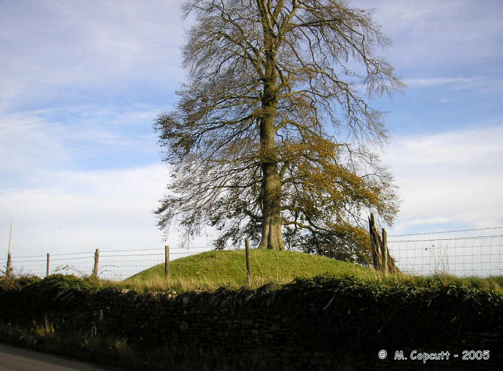 Click for the gallery page to add comments and vote (PID:17656) Ston Easton Barrow