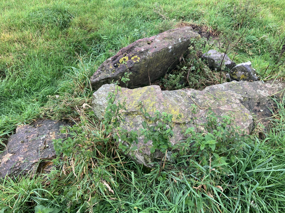 Click for full size image of Pool Farm Cist (PID:276708) Pool Farm Cist