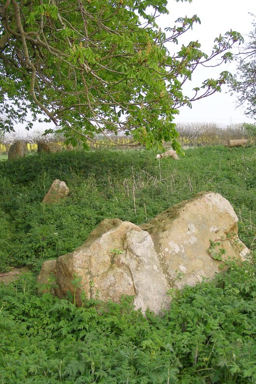 Click for the gallery page to add comments and vote (PID:29107) The Devil's Bed and Bolster