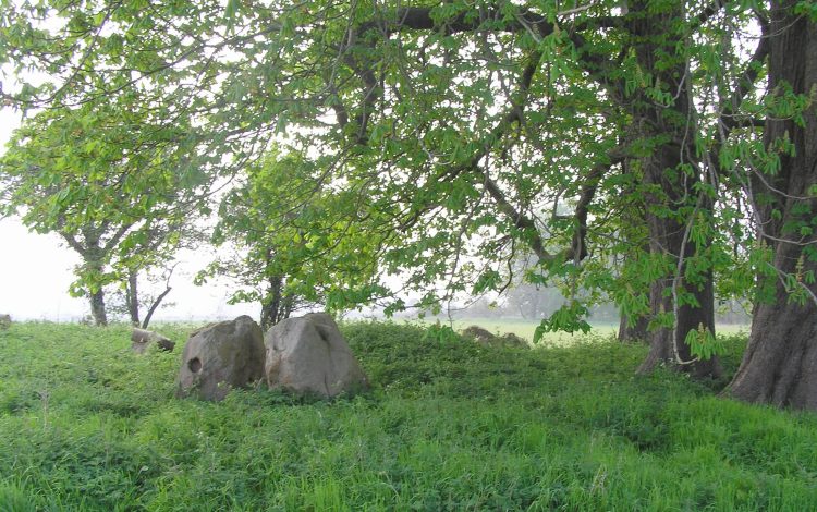 Click for the gallery page to add comments and vote (PID:43573) The Devil's Bed and Bolster