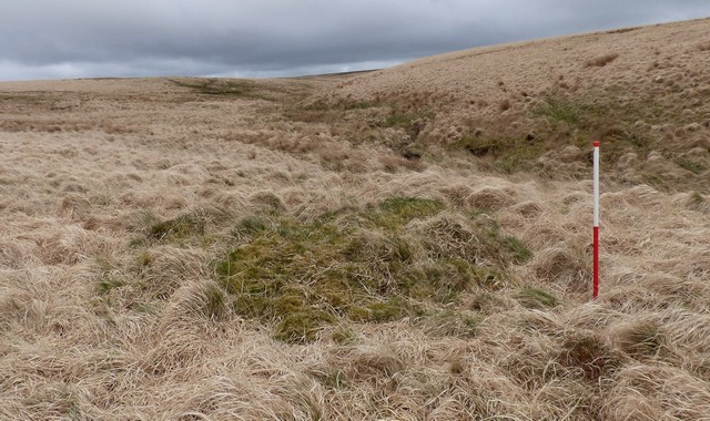 Click for the gallery page to add comments and vote (PID:206069) East Pinford Cairn