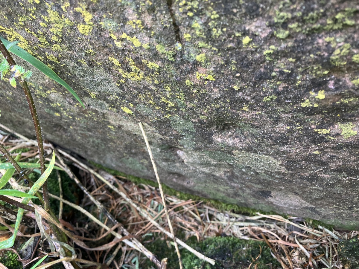 Click for full size image of Pool Farm Cist (PID:276706) Pool Farm Cist