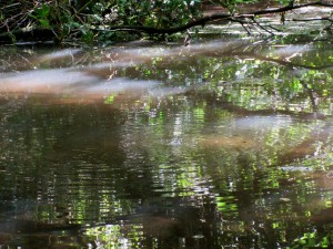 Click for the gallery page to add comments and vote (PID:156025) Whirley Pool