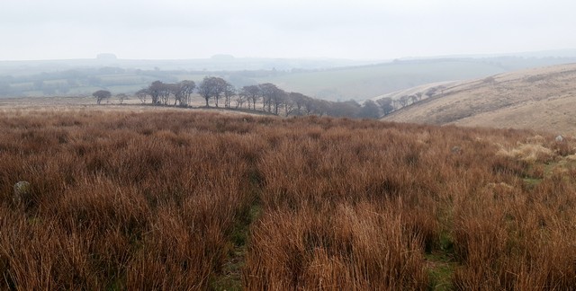 Click for the gallery page to add comments and vote (PID:204684) Halscombe