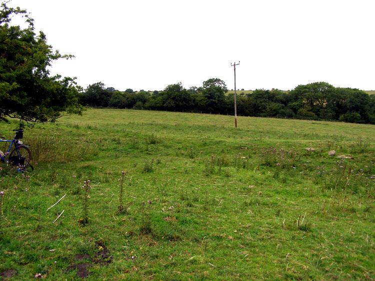 Click for full size image of Gorsey Bigbury Henge (PID:61914) Gorsey Bigbury Henge