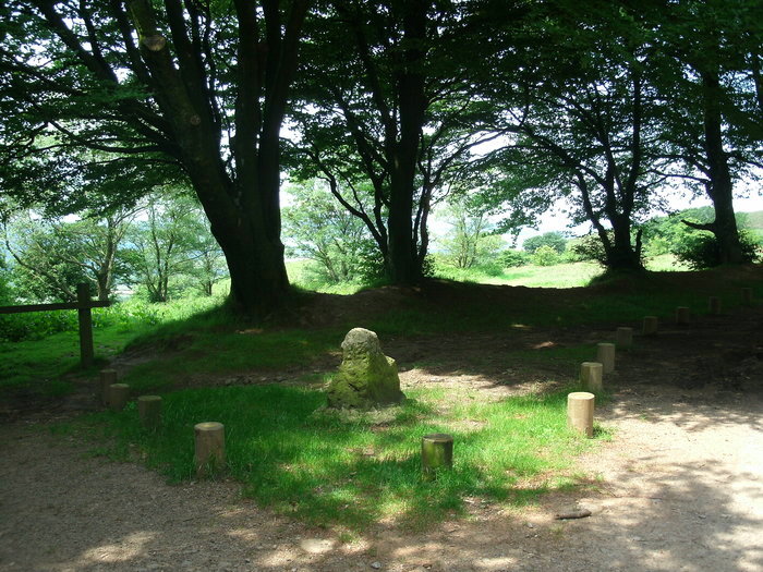 Click for the gallery page to add comments and vote (PID:109952) Triscombe Stone