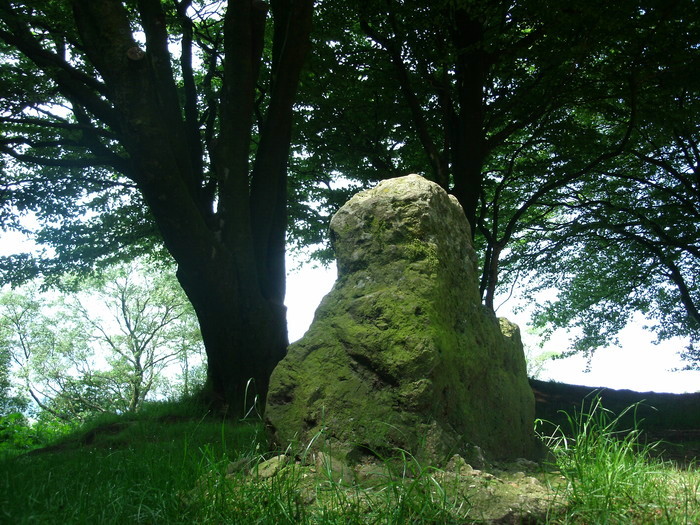 Triscombe Stone