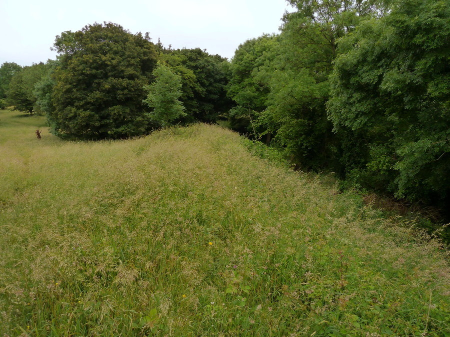 Dundon Hill