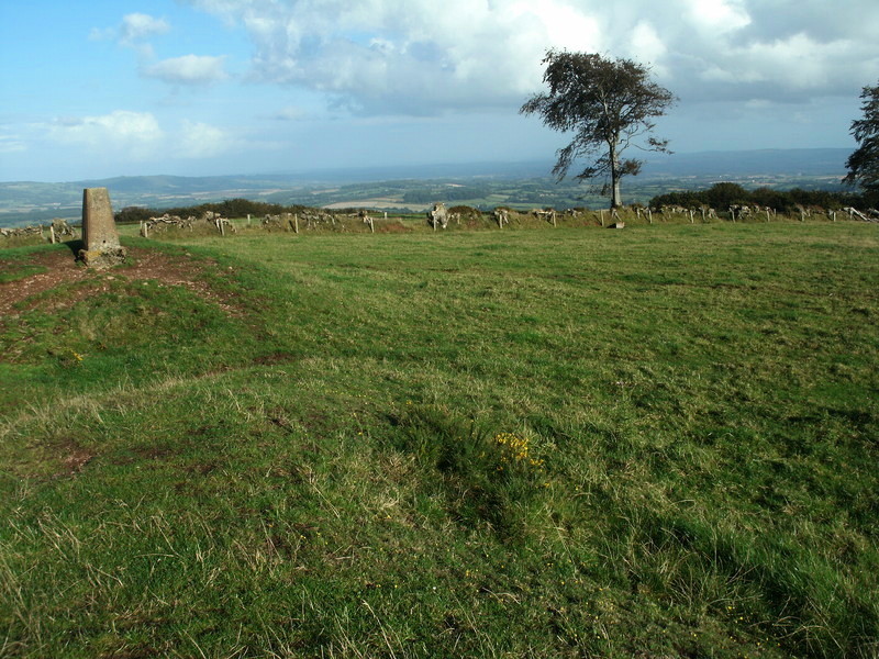 Elworthy Barrows hillfort