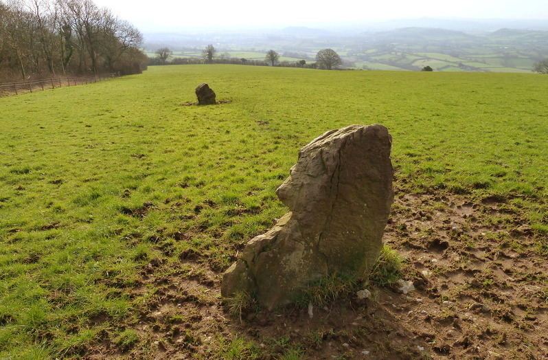 Deerleap Stones