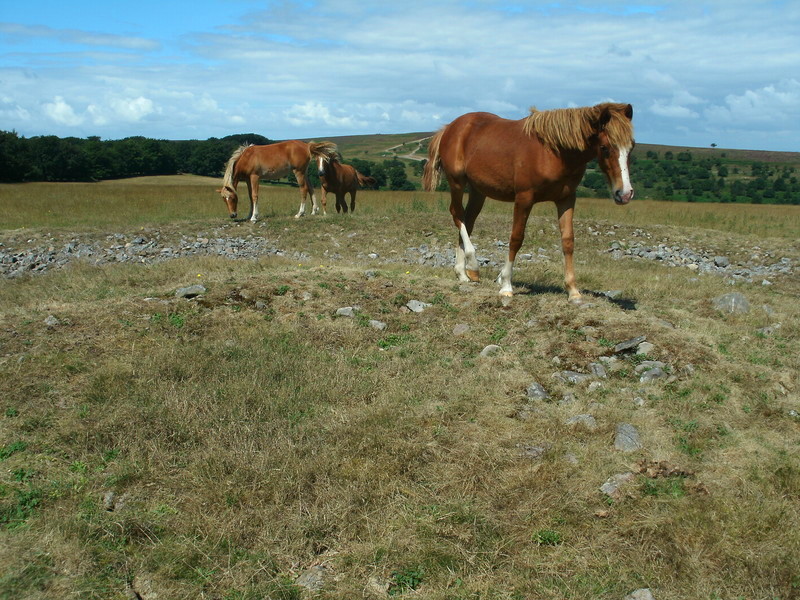 West Hill Platform Cairn