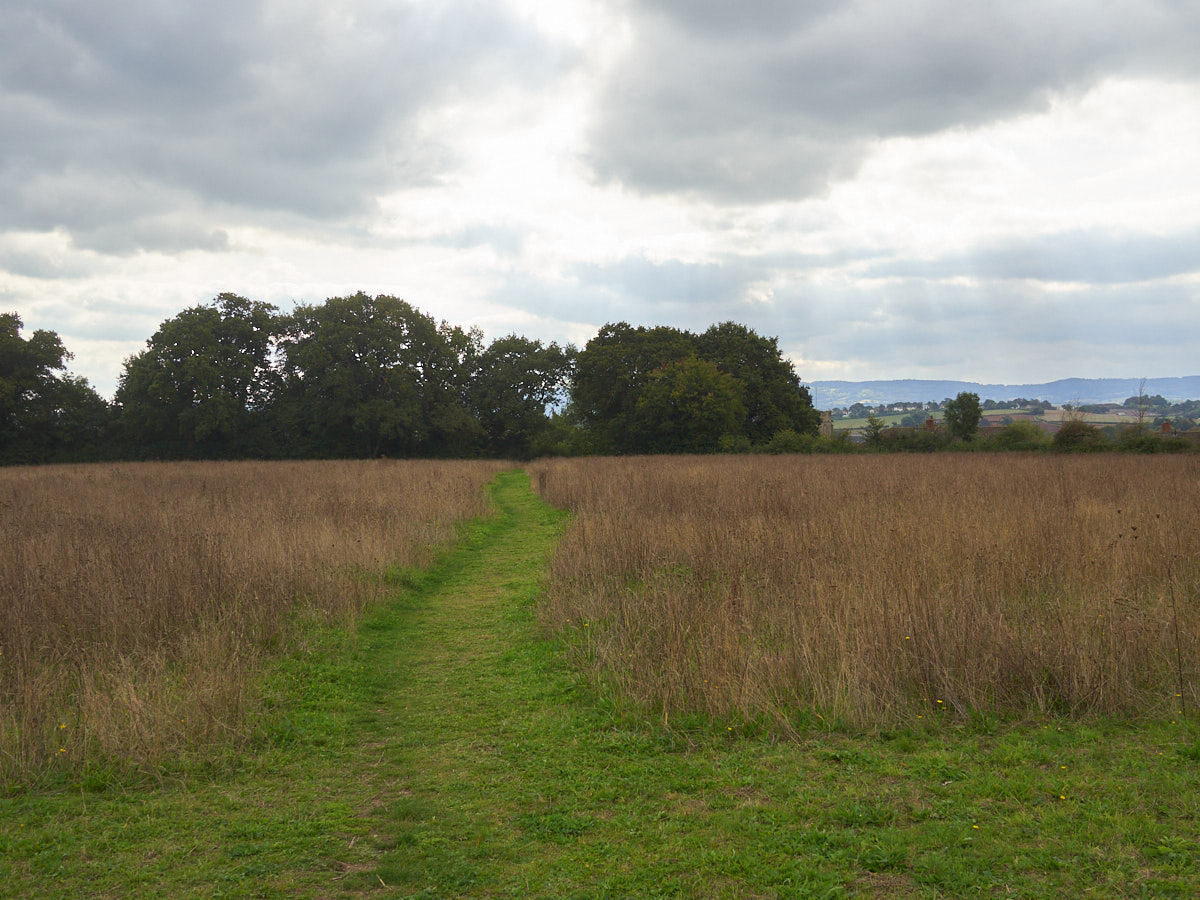 Norton Fitzwarren (PID:278231) Norton Fitzwarren