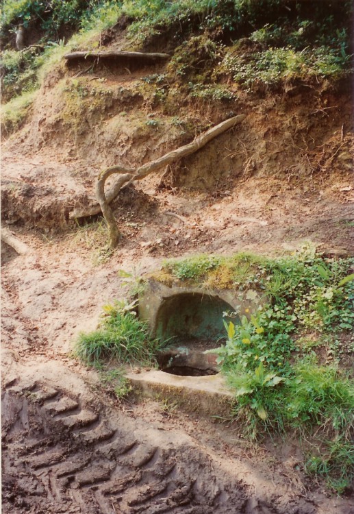 Click for the gallery page to add comments and vote (PID:21572) King Arthur's Well