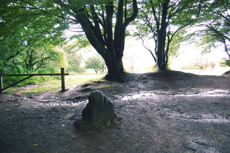 Triscombe Stone