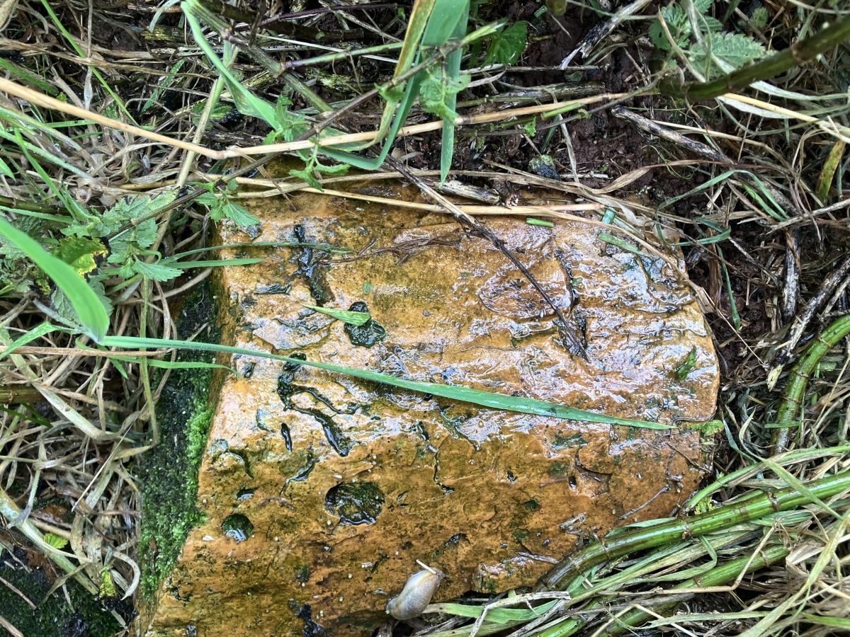 Click for full size image of Pool Farm Cist (PID:276709) Pool Farm Cist
