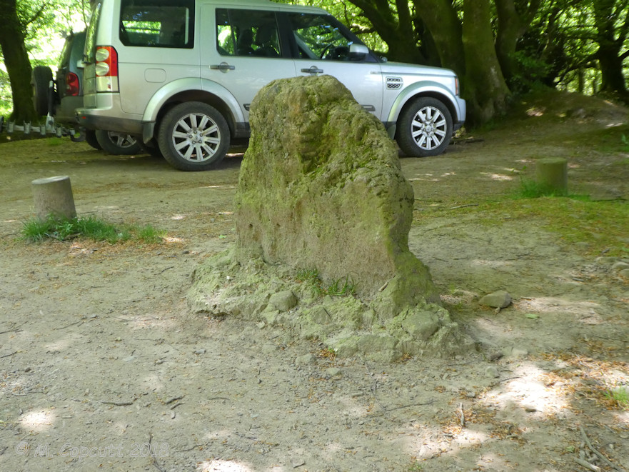 Triscombe Stone