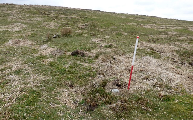 Click for the gallery page to add comments and vote (PID:205112) Shoulsbury Common Stone Row