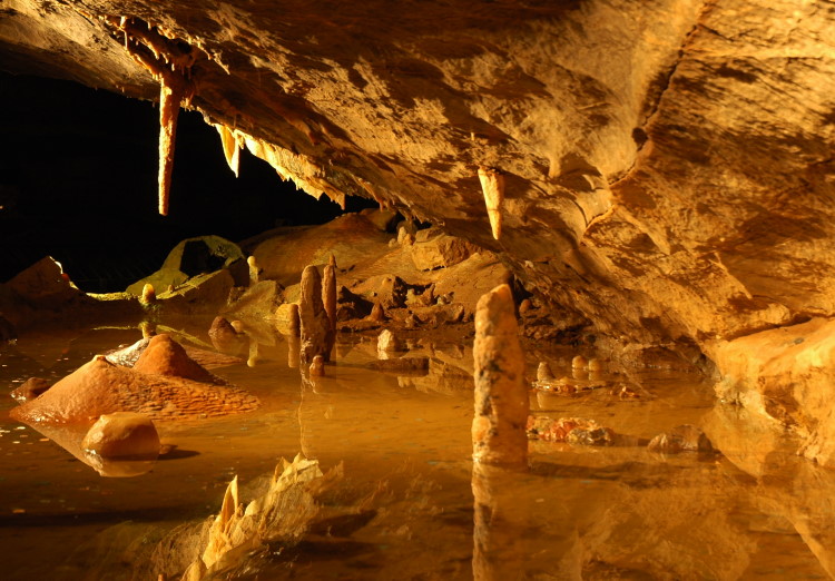 Goughs Cave (Cheddar)