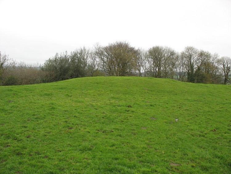 Small Down Barrows