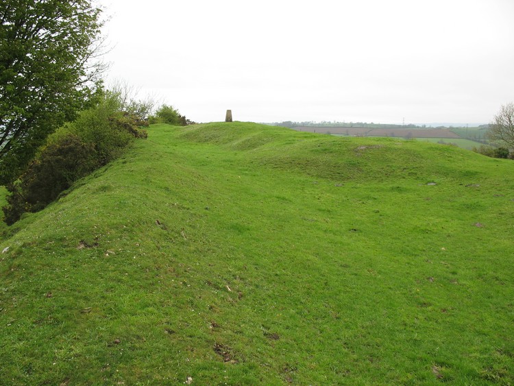 Small Down Barrows