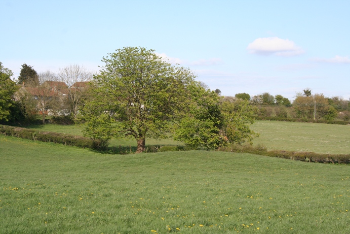 Felton Village Bowl Barrow