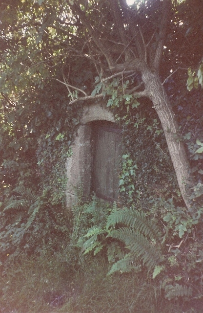 St. Leonard's Well (Dunster) Holy Well or Sacred Spring : The Megalithic Portal and Megalith Map: