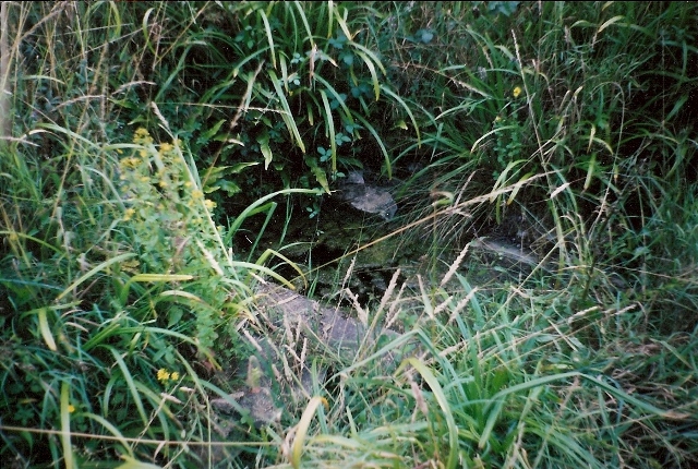 St. Catherine's Well (Swell) (PID:37319) St. Catherine's Well (Swell)