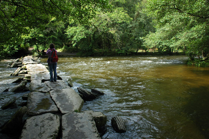Click for the gallery page to add comments and vote (PID:43394) Tarr Steps Prehistoric Bridge